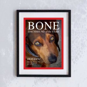 MIss WeinerVerse Dog Magazine Bone