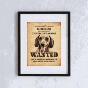 Miss WeinerVerse Wanted Poster Mockup Frame