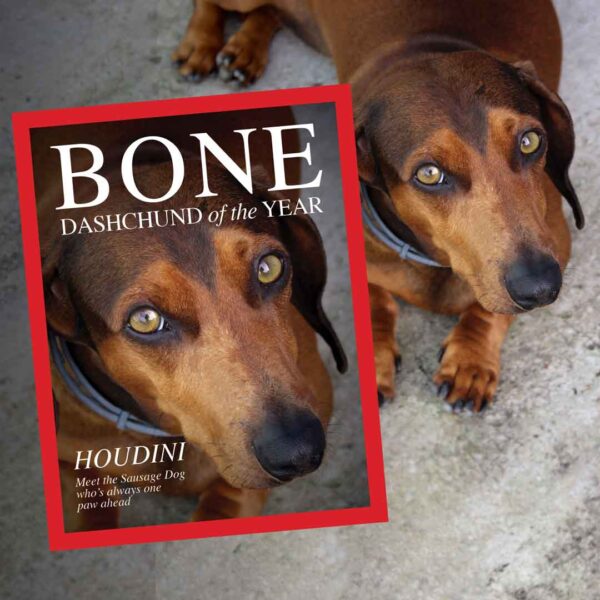 MIss WeinerVerse Dog Magazine Bone with the dog in the background