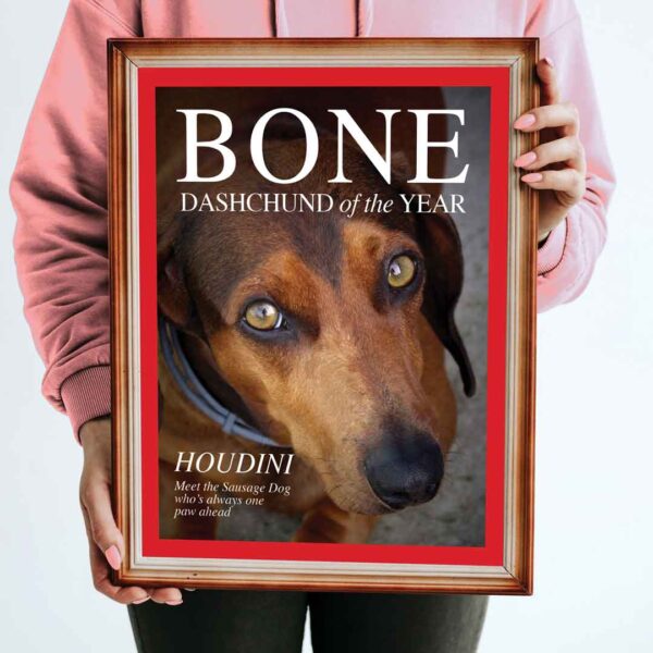 A framed copy of MIss WeinerVerse Dog Magazine Bone