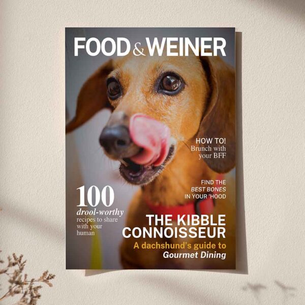 a photo of a framed example of a Miss WeinerVerse custom Food & Weiner Magazine poster