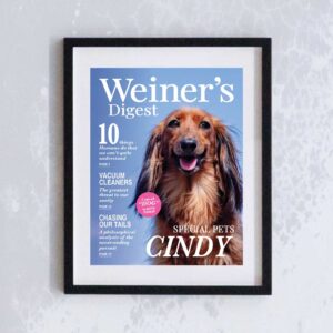 Weiner's Digest Magazine customised covers