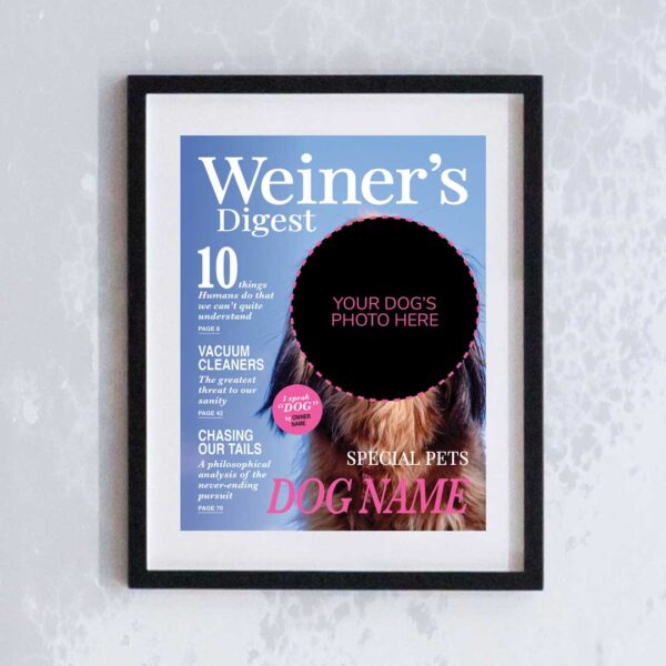 Weiner's Digest Magazine customised covers